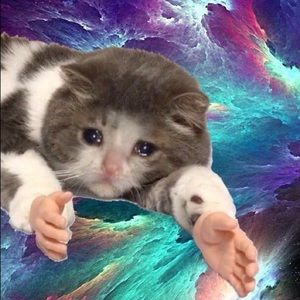 Meet your Posher, Jeri